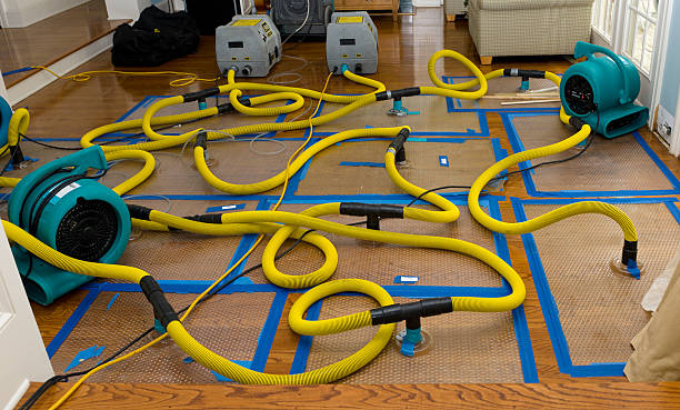 Professional Crawl Space Water Removal technician working in Duncanville, TX
